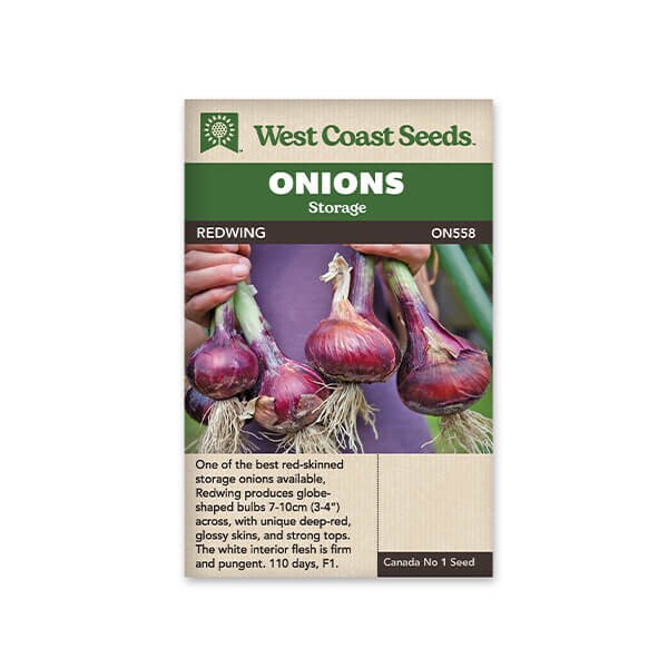 West Coast Seeds Storage Onion